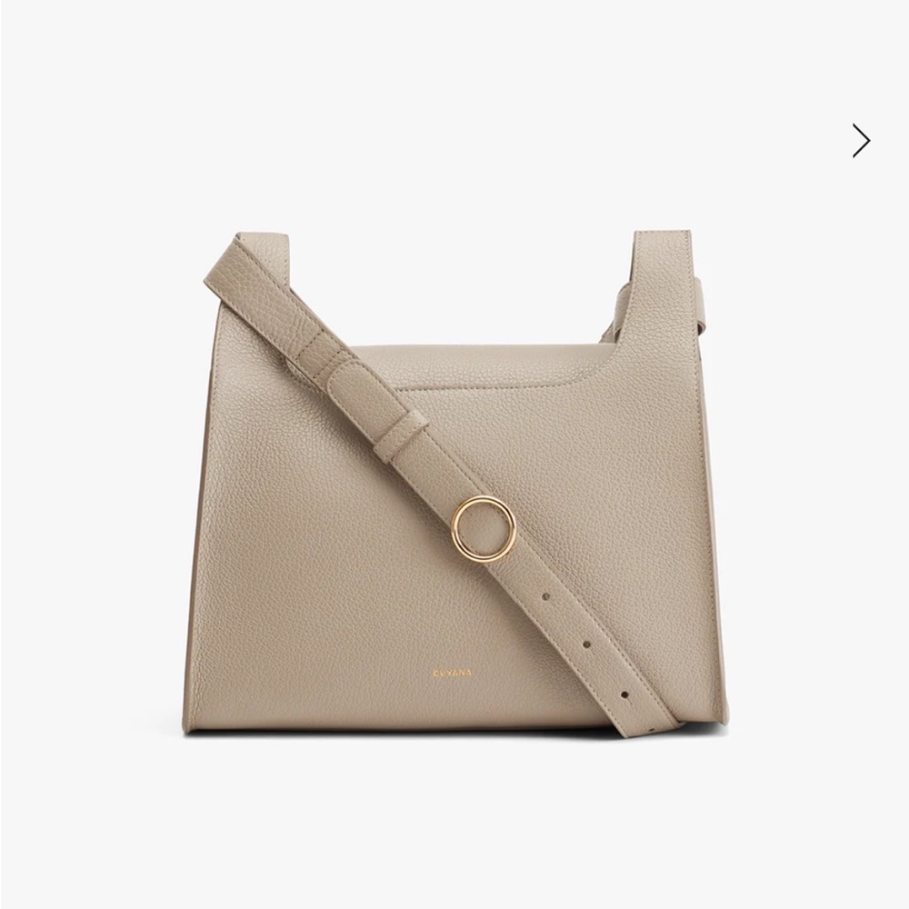 Cuyana double loop bag